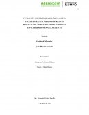 Gestión de Mercados. Eje 4: Plan de mercadeo