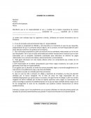 Formato responsiva de tarjeta corporativa