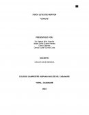Cohete: Informe de experimento