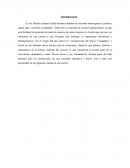 Construcion del Nuevo Ciudadano