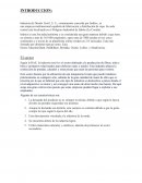 Industria de Diseño Textil, S. A.