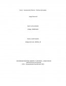 Componente Práctico - Prácticas Simuladas