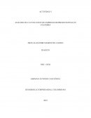 Análisis de la evolución de empresas representativas en Colombia