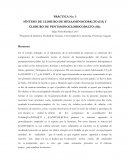 Síntesis de cloruro de hexaaminocobalto (III) y cloruro de pentaminoclorocobalto (III)