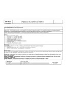 Programa de auditorias internas