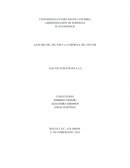 Análisis del sector y la empresa del sector Falcon Publicidad S.A.S
