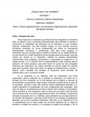 Cultura organizacional, comunicación organizacional, desarrollo del talento humano