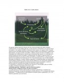 Modelos cambio climatico