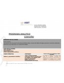 Programa analítico
