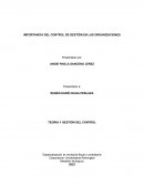 Importancia del control de gestión en las organizaciones