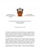 Reflexión Educativa; Literacidad como eje transversal