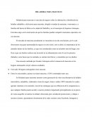 Heladeria para Mascotas