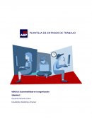 Sustentabilidad Trabajo
