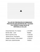 Taller de prevención de embarazo precoz en adolescentes