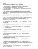 Español cuestionario