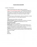 Proyecto en colonia de verano