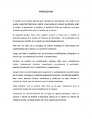 Ensayo de la estructura de la oracion