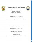 Elaboración De Como Hacer Masa Madre