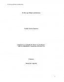 Análisis del libro: El chico que dibujo constelaciones