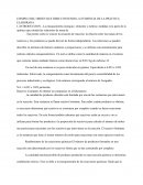 Ejemplo del orden que debe contener la evidencia de la práctica elaborada