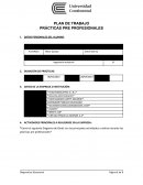 Plan de trabajo. Prácticas pre profesionales