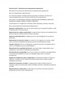 Resumen Guia N° 1 Dimensiones del comportamiento organizacional