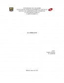 ¿Usted visualiza que tipo de liderazgo en el ámbito político y organizacional en Venezuela?