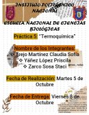 Práctica 5: Termoquímica