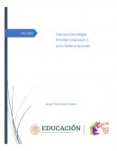 Avance tecnológico. Internet