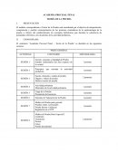 Teoría de la prueba