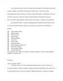 La creación de un huerto escolar