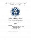 Neurona: clasificación y partes