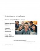 Observación del Adolescente