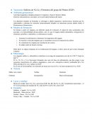 Yacimiento Sulfuros de Ni-Cu y Elementos del grupo del Platino