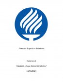 Procesos de gestión de talento Evidencia