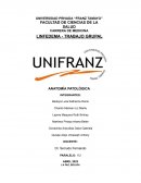 Anatomía patológica