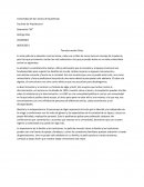 Tomates verdes fritos