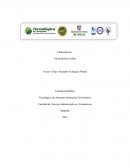 Políticas contables bajo NIIF para PYMES