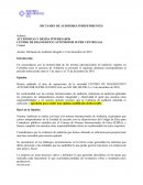 Dictamen de Auditoría Integral a 31 de diciembre de 2018