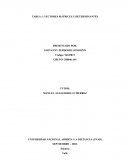 Vectores matrices y determinantes