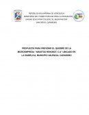 Propuesta para prevenir el quiebre de la microempresa “Abastos Rehobot, C.A”