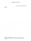 La Verdadera Cara del Aborto