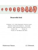 Resumen neonatal