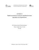 Opinión personal de las normas de seguridad mexicanas Seguridad en las Organizaciones