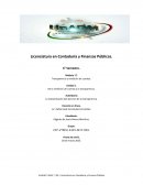 Contaduria y finanzas públicas
