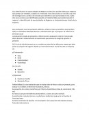 Preparacion y Evaluacion de proyectos