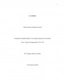 Fundamentos de Audioría. México: