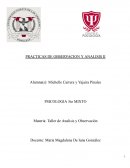 Taller de análisis y observación