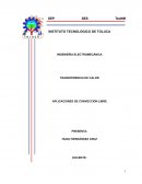 Infografia conveccion Natural