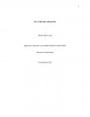 PP´S Chickes Arequipa